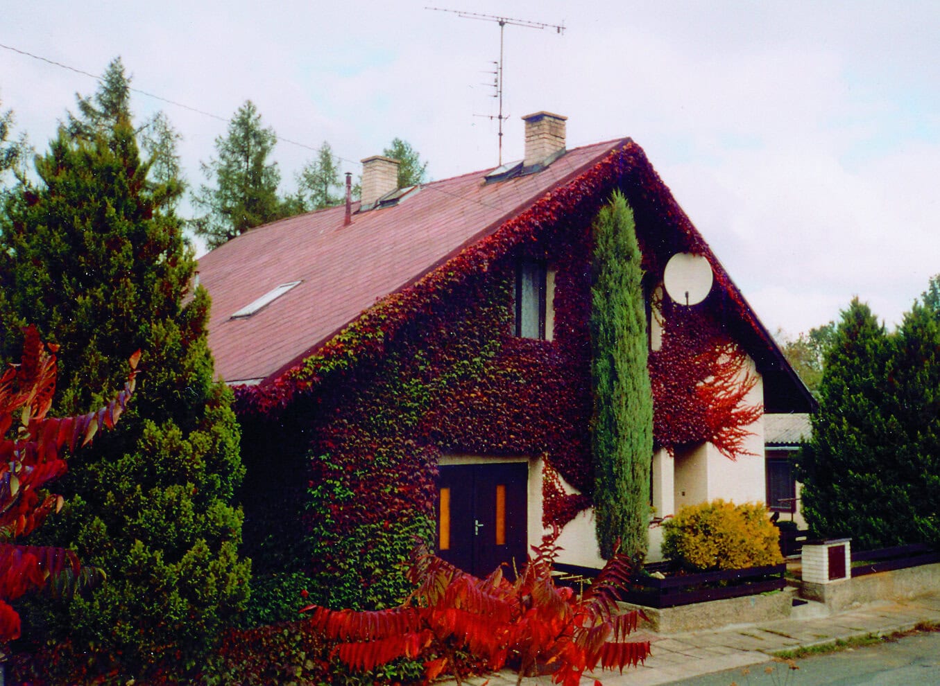 kolaz_kouty
